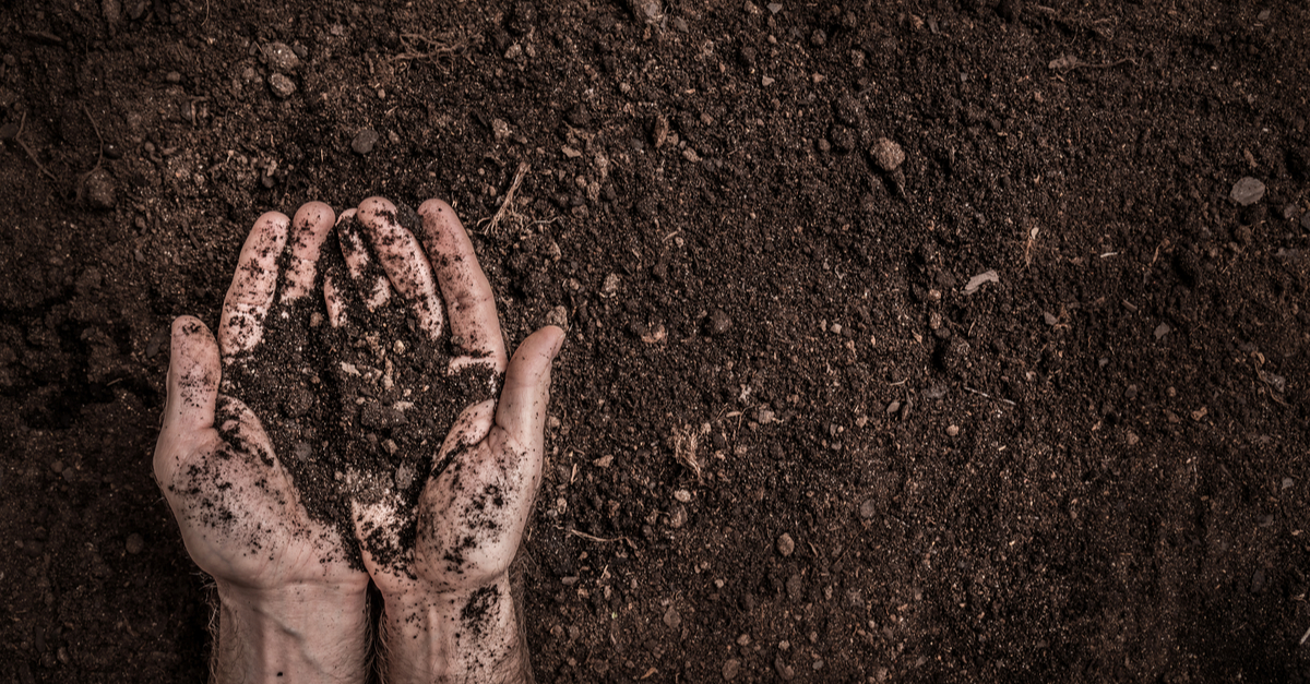 soil fertility