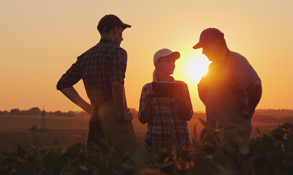 A group of farmers having a discussion in a field, using a tablet and working as a team.