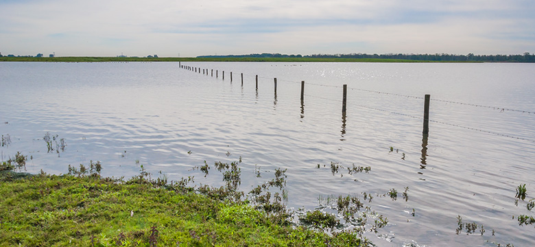 fencing-for-farming
