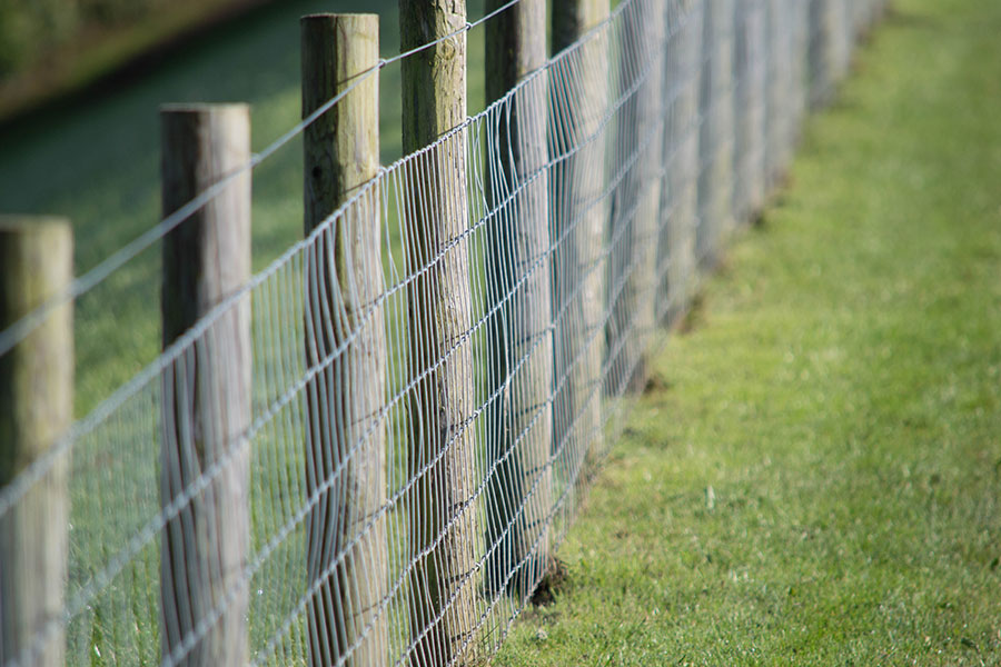 English Rabbit Proof Fence Worksheet